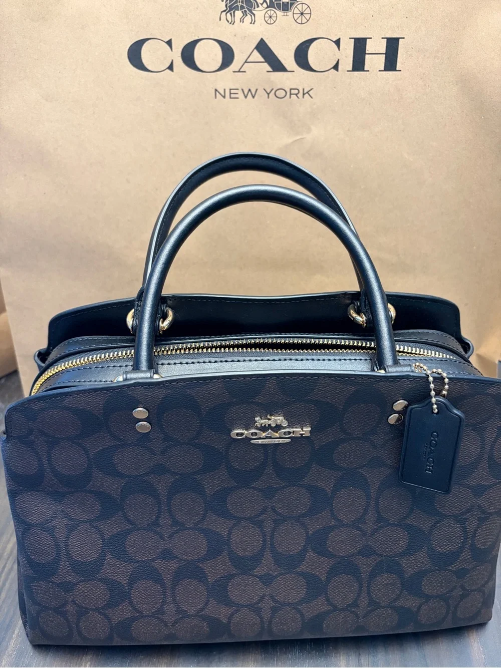 Coach Lillie Carryall in Dark Brown Signature Canvas